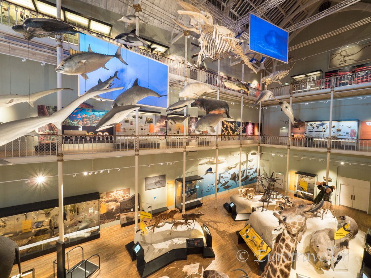 スコットランド国立博物館