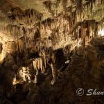 スロベニア観光名所